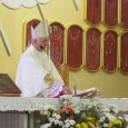 Dnia 30 października 2011 roku ksiądz Biskup Wacław Depo poświęcił relikwiarz i uroczyście wprowadził do kultu relikwie Błogosławionego Jana Pawła II. Relikwiarz został ufundowany przez Marię i Stanisława Ptaszków z […]